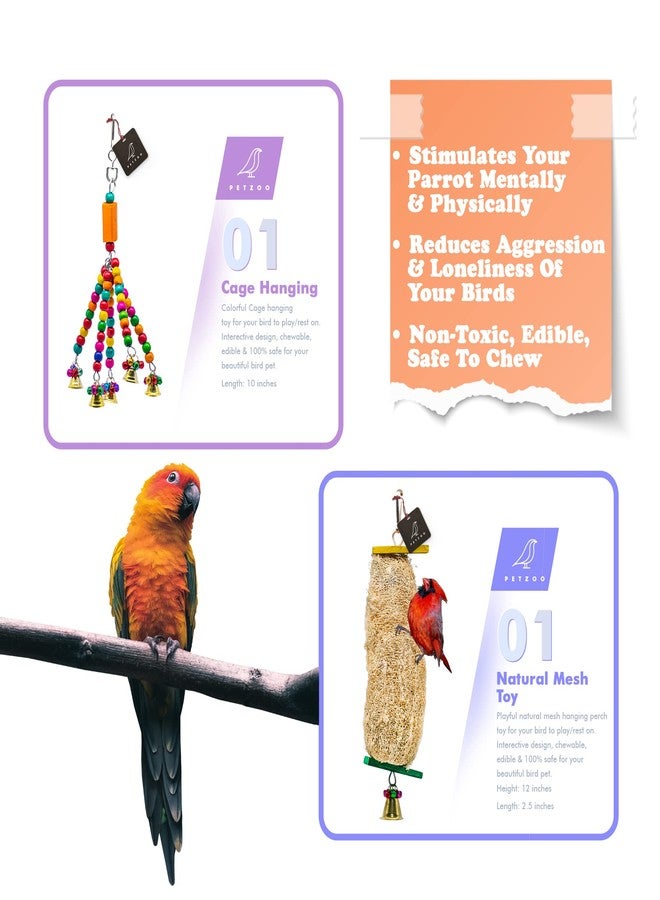 PETZOO Bundle of 10 Birds Toys Paper Shredded Foraging Chew, Swing, Mesh Toys, Perch, Spiral Hanging - Image 4